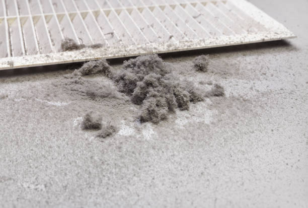 Best Ventilation Cleaning Services  in Morton, PA