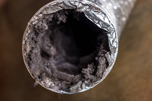 Best Ventilation Cleaning Services  in Morton, PA
